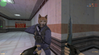 CS 1.6 Cat Edition